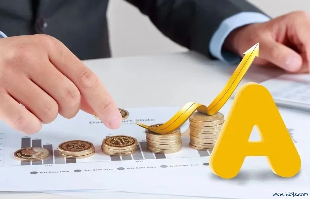 如何在token钱包官方网站找到适合你的投资组合与资产配置，科学实现财务目标与收益？_钱包理财怎么样_钱包项目有哪些
